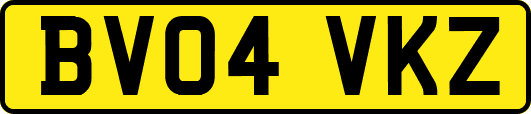 BV04VKZ