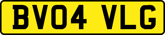 BV04VLG