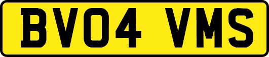 BV04VMS