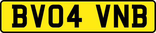 BV04VNB