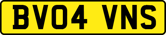 BV04VNS