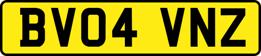 BV04VNZ