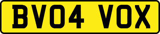 BV04VOX