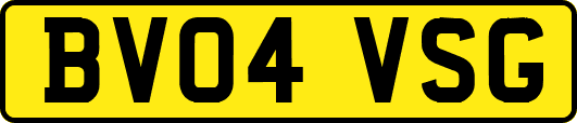 BV04VSG