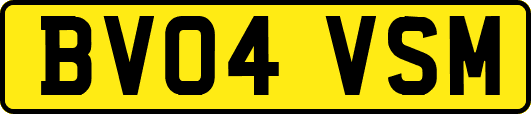 BV04VSM