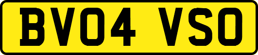 BV04VSO