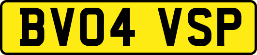 BV04VSP