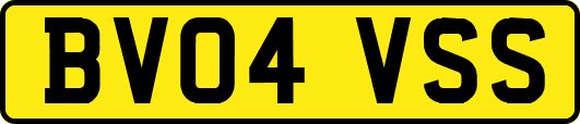 BV04VSS