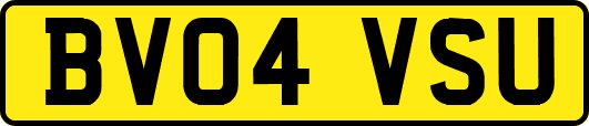 BV04VSU