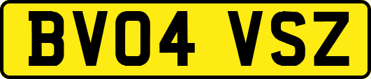 BV04VSZ