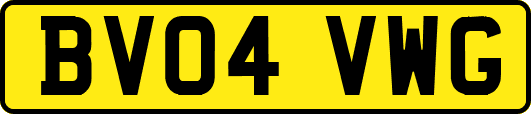 BV04VWG