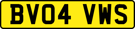 BV04VWS