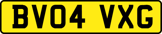 BV04VXG