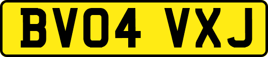 BV04VXJ