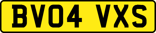 BV04VXS