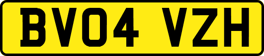 BV04VZH