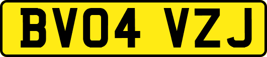 BV04VZJ