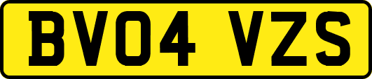 BV04VZS