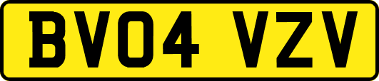 BV04VZV