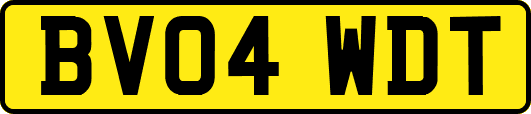 BV04WDT