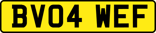 BV04WEF