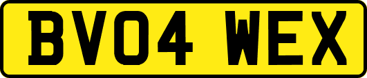 BV04WEX