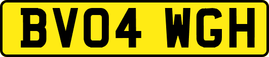 BV04WGH