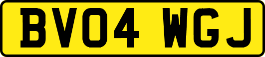 BV04WGJ