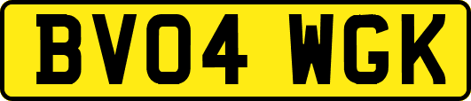 BV04WGK