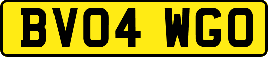 BV04WGO