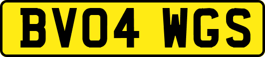 BV04WGS