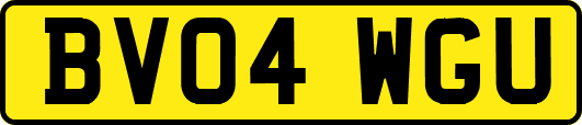 BV04WGU