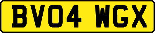 BV04WGX