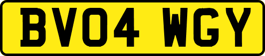 BV04WGY