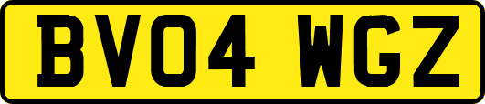 BV04WGZ