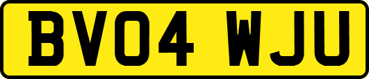 BV04WJU