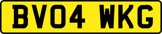 BV04WKG