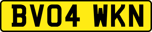 BV04WKN