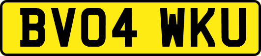 BV04WKU