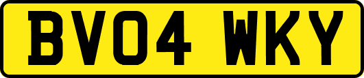 BV04WKY