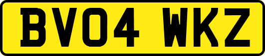 BV04WKZ