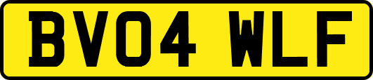 BV04WLF