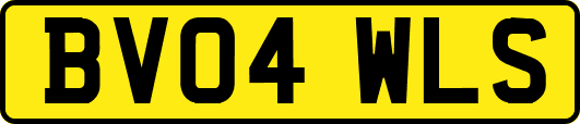 BV04WLS