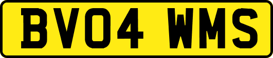 BV04WMS