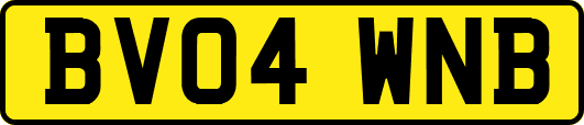 BV04WNB