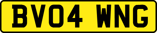 BV04WNG