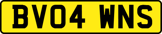 BV04WNS