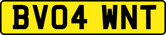 BV04WNT