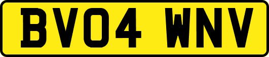 BV04WNV