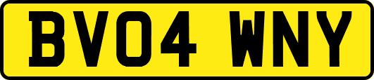 BV04WNY